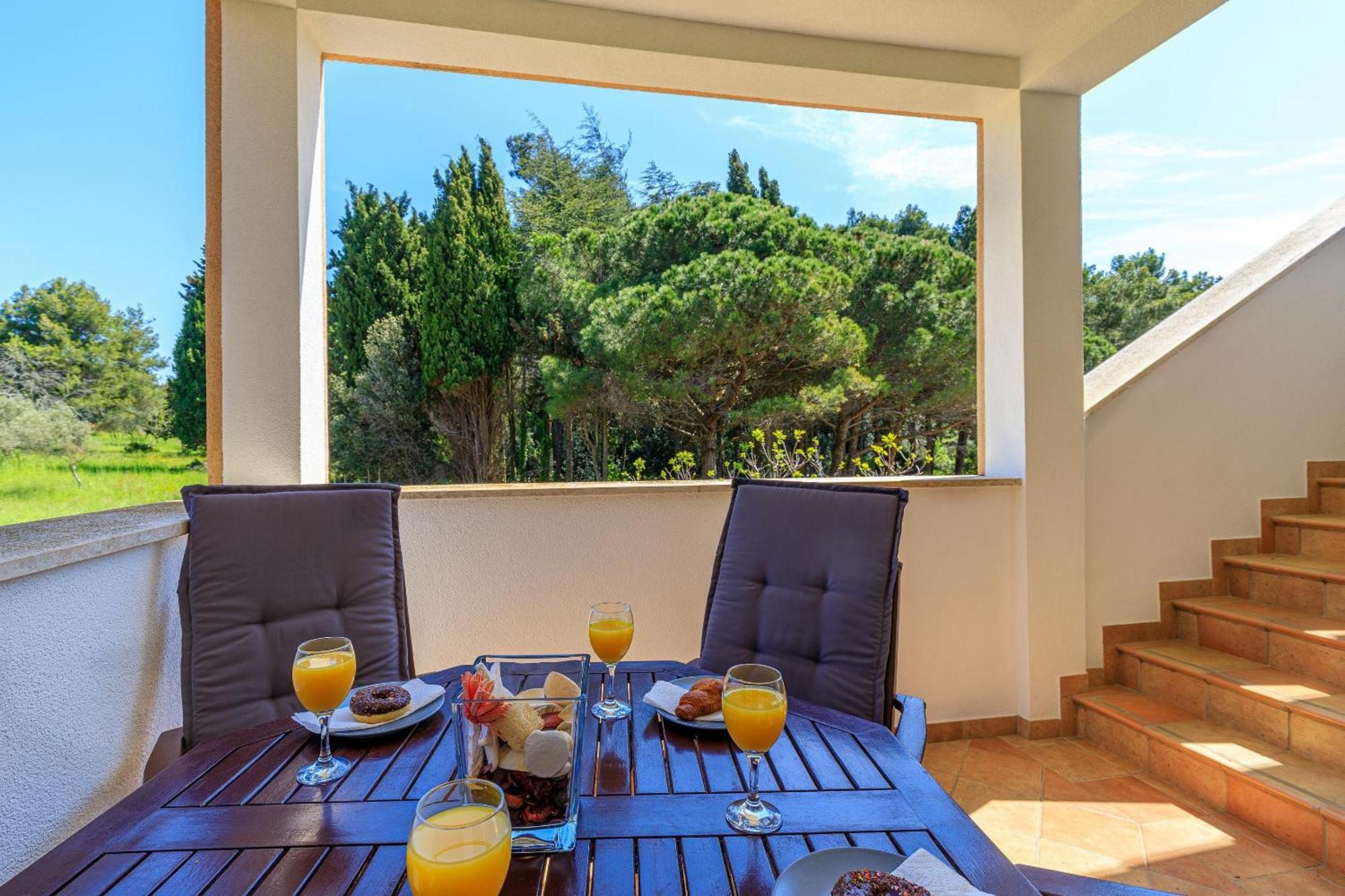 Apartment Cuvi *